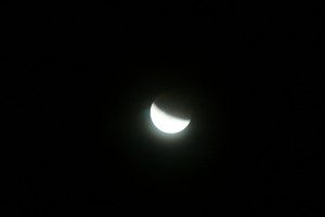 IMG_6318