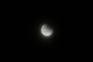 IMG_6324