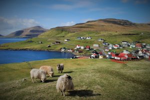 Faroe Island3