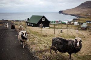 Faroe Island5